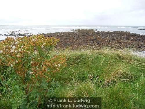 Strandhill